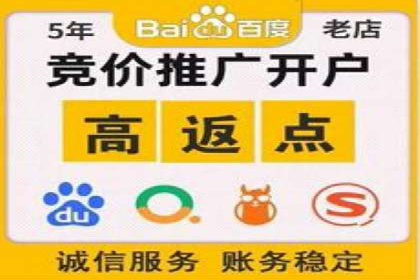 提升转化率——SEM竞价优化实战案例